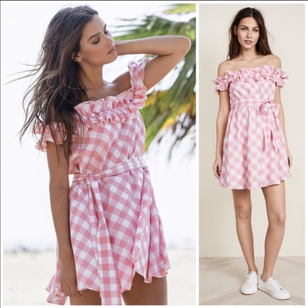 Anthropologie Steele Pink Gingham Dress - Picture 5 of 10
